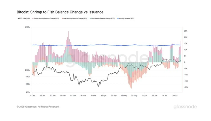 “中小型比特币钱包地址一个月净买入17，000 BTC”